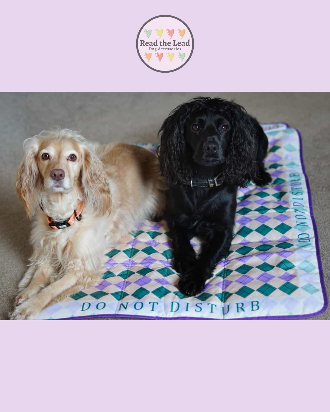 Calm Companion Mat- Lavender Edition