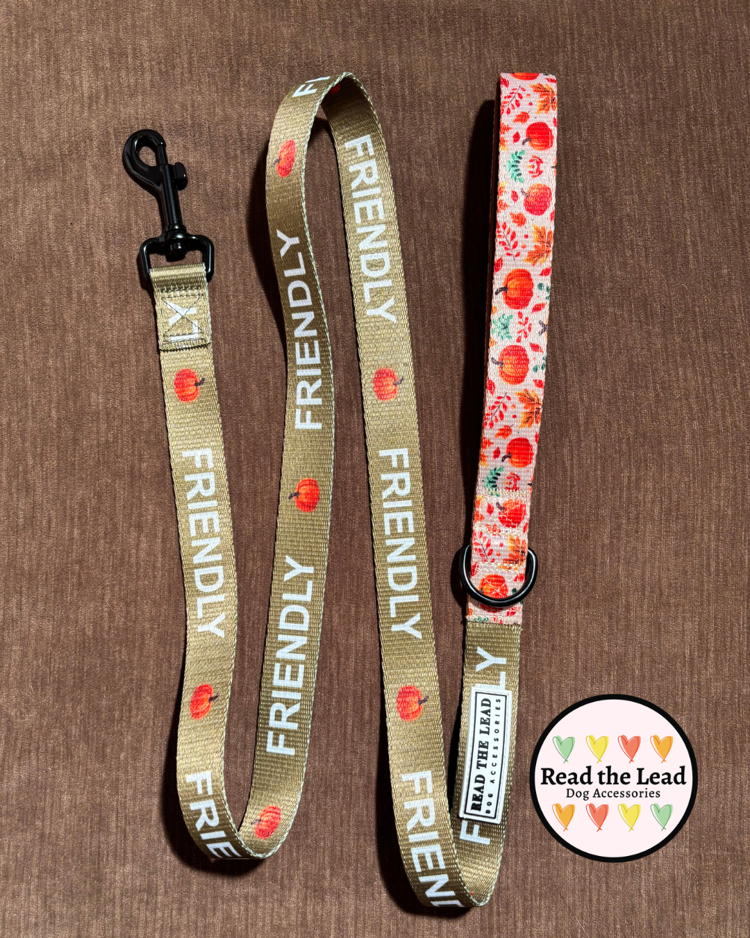 Autumn Walks 'FRIENDLY' Lead