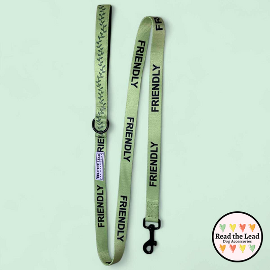 "Friendly" awareness lead