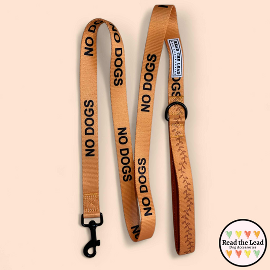 "No Dogs" awareness lead