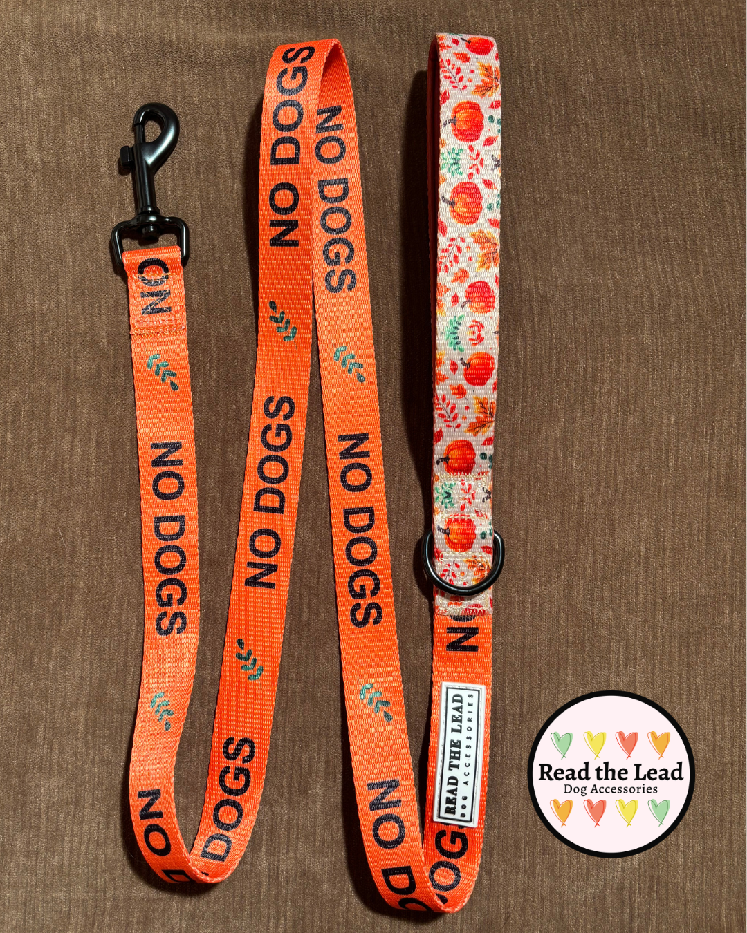 Autumn Walks 'NO DOGS' lead