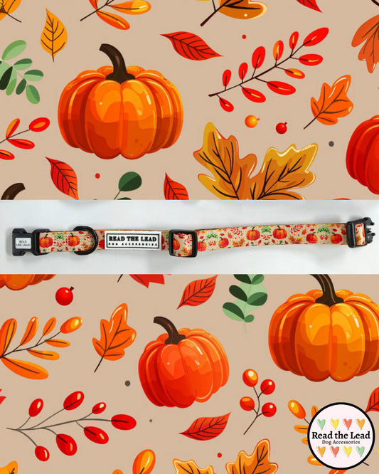 Autumn Walks Collar