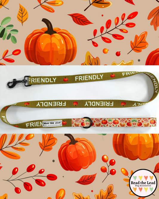Autumn Walks 'FRIENDLY' Lead