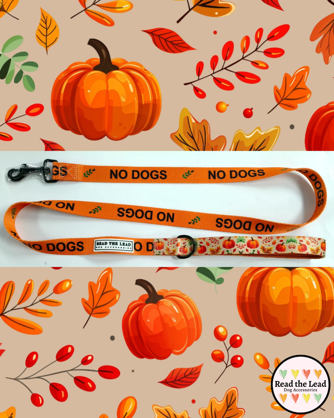 Autumn Walks 'NO DOGS' lead