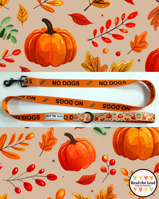 Autumn Walks 'NO DOGS' lead