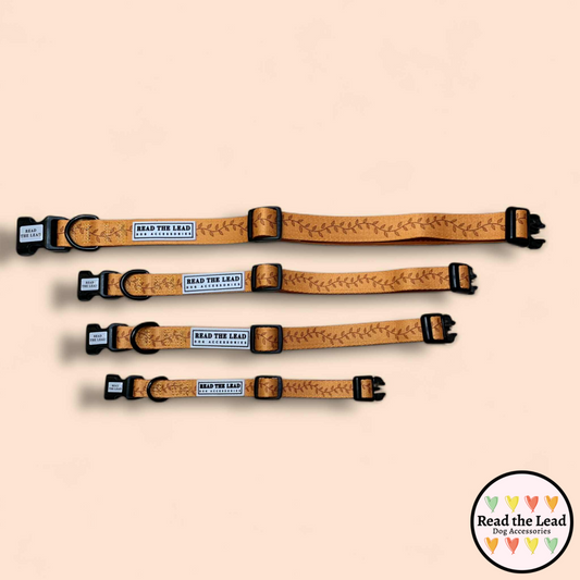 Orange collar