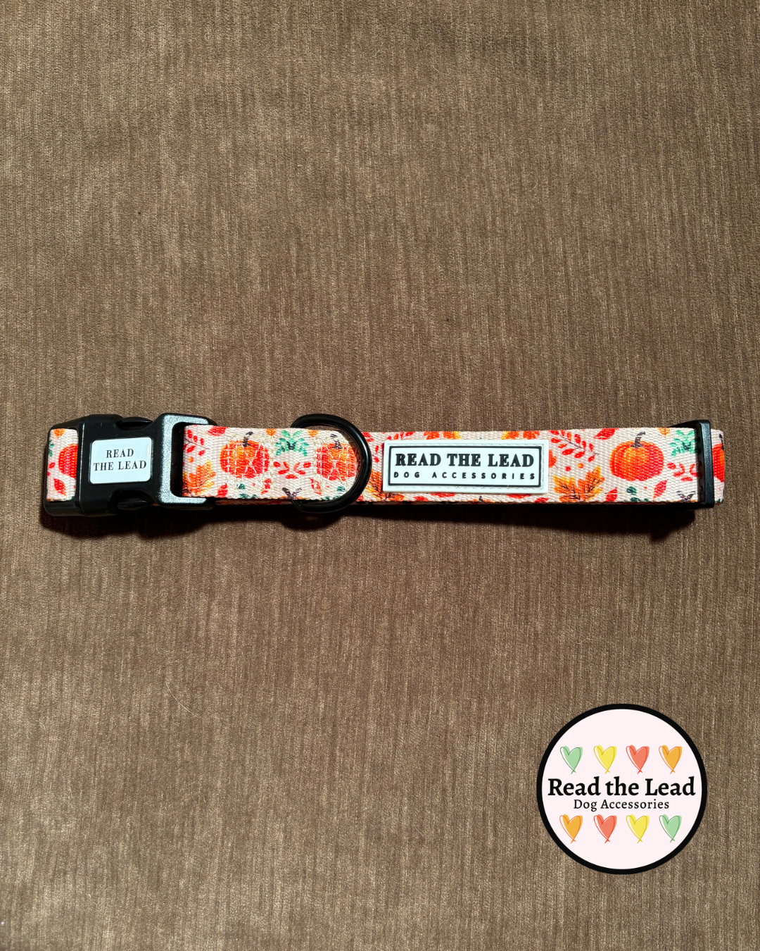 Autumn Walks Collar