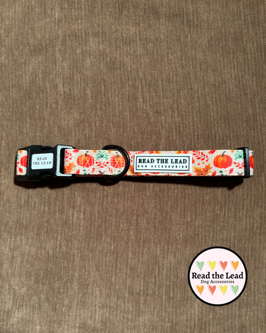 Autumn Walks Collar