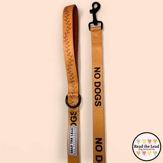 "No Dogs" awareness lead