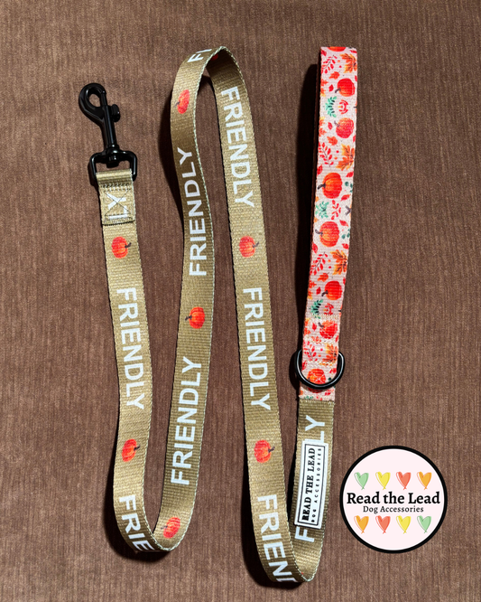 Autumn Walks 'FRIENDLY' Lead