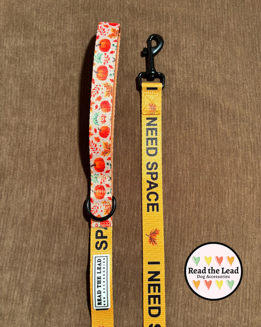 Autumn Walks 'I NEED SPACE' lead