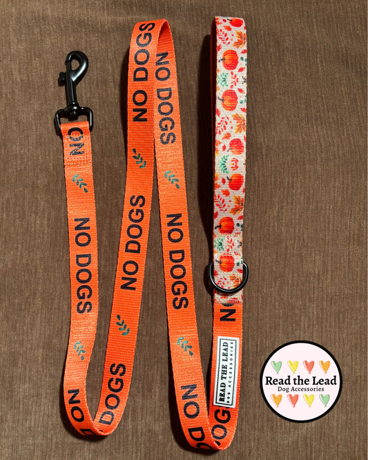 Autumn Walks 'NO DOGS' lead