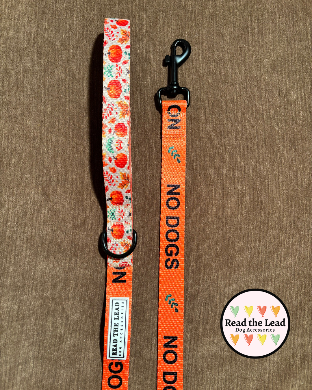 Autumn Walks 'NO DOGS' lead